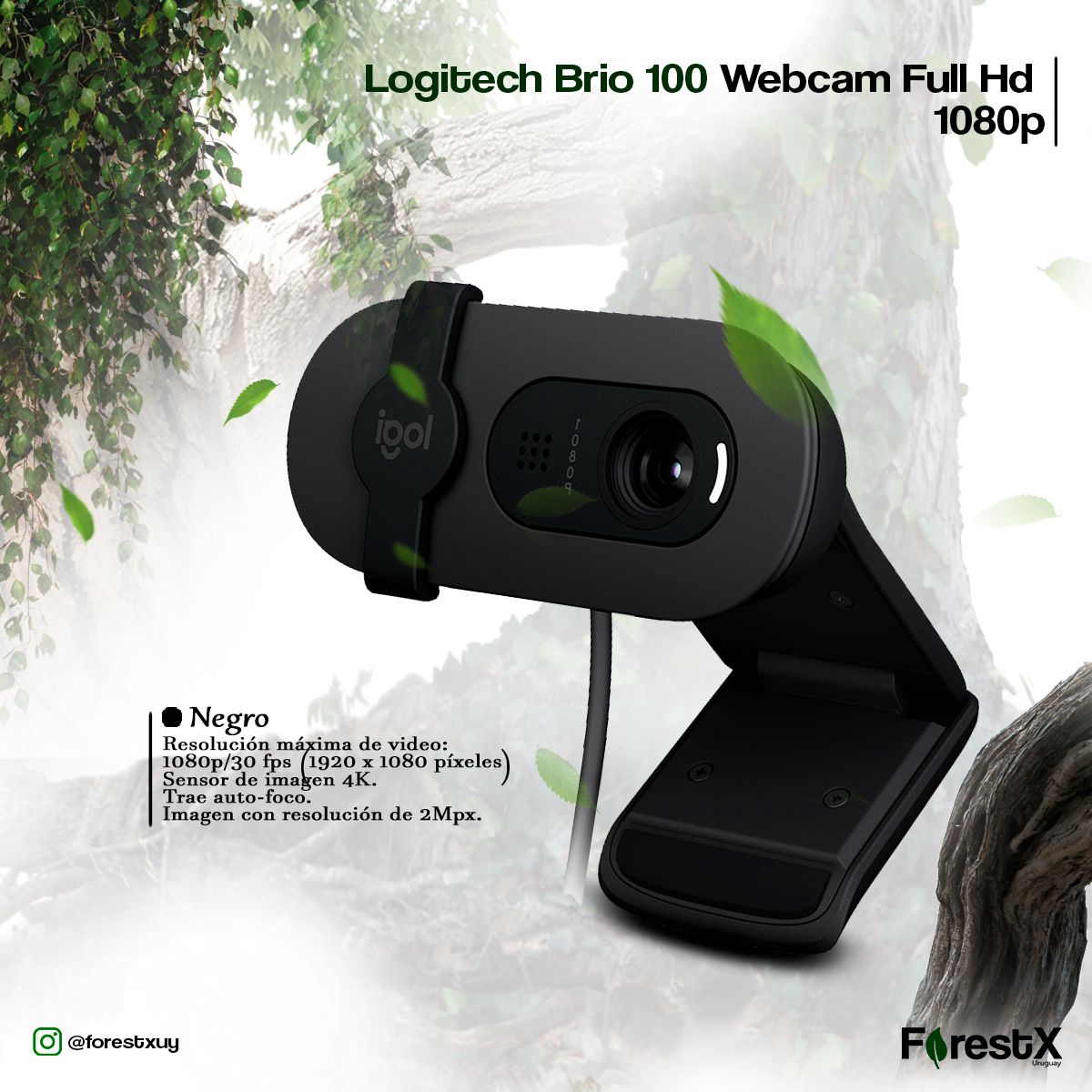 Logitech Brio 100 Webcam Full Hd 1080p Color Negro